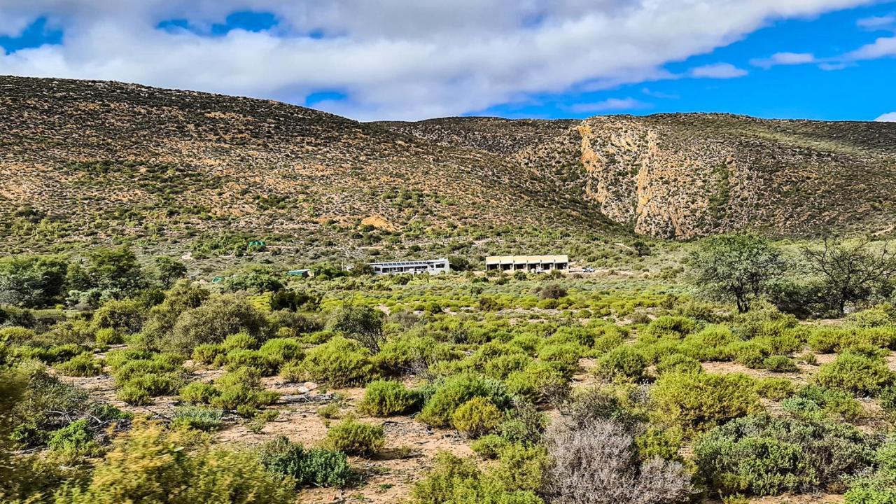 Rooiberg Wild Private Game Reserve Ladismith Ngoại thất bức ảnh