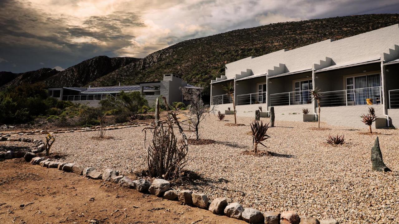 Rooiberg Wild Private Game Reserve Ladismith Ngoại thất bức ảnh