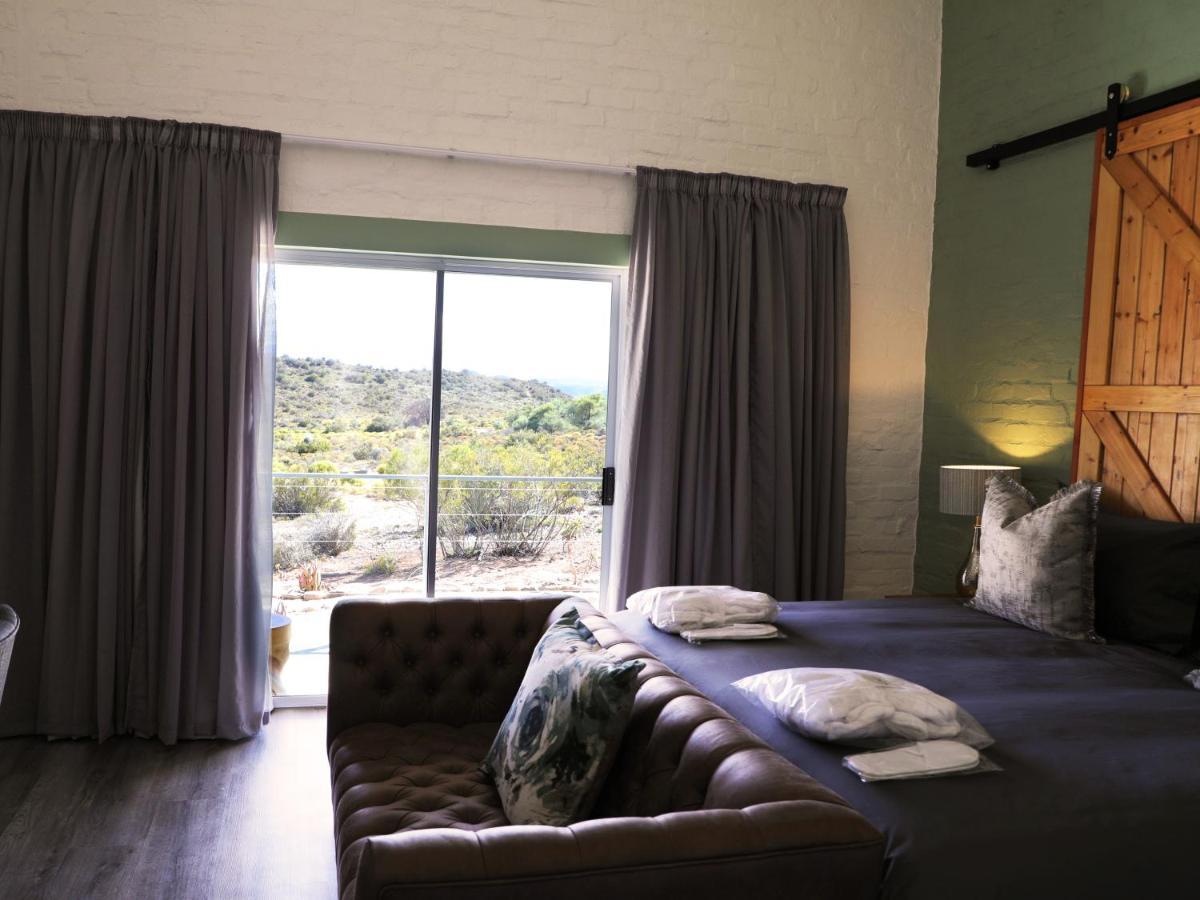 Rooiberg Wild Private Game Reserve Ladismith Ngoại thất bức ảnh