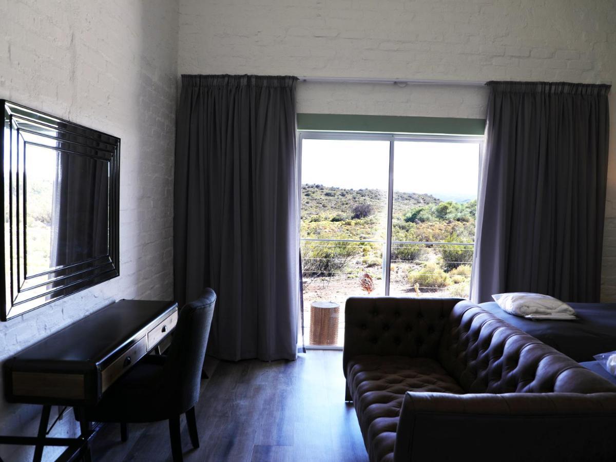 Rooiberg Wild Private Game Reserve Ladismith Ngoại thất bức ảnh